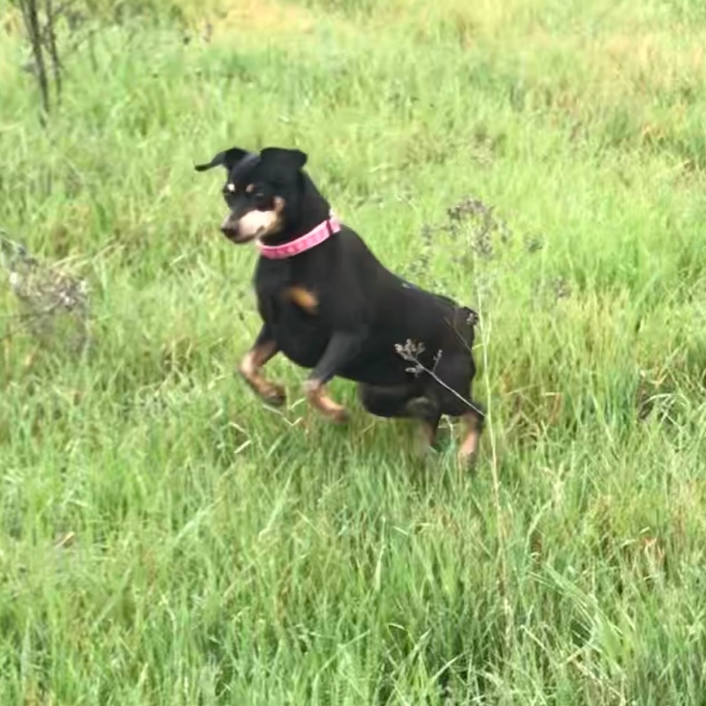 Meet your Posher, Lisa